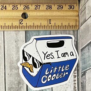 🌀10/$10🌀 Sarcasm Sarcastic Work Reusable Waterproof Vinyl Sticker Decal